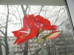 yIMG_3375