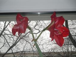 yIMG_3376