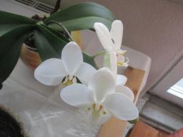 yIMG_3422