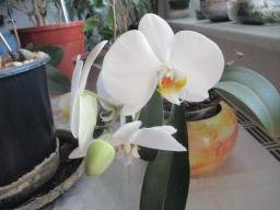 yIMG_3423