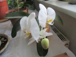 yIMG_3494