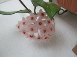 yIMG_3496