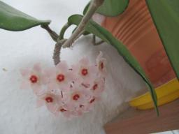 yIMG_3497