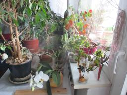 yIMG_3507