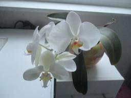 yIMG_3530