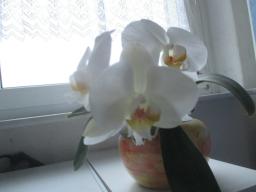 yIMG_3533