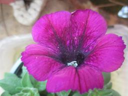 yIMG_3582