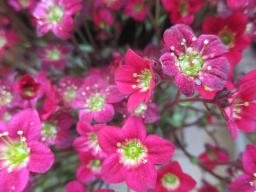 yIMG_3583