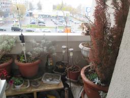 yIMG_3587