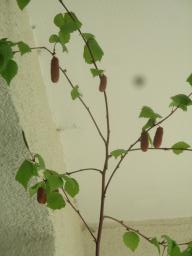 yIMG_3656