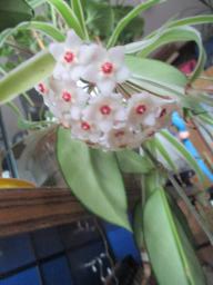 yIMG_3674