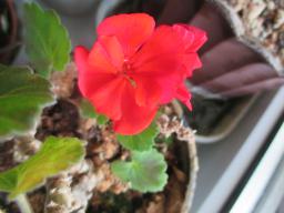 yIMG_3676