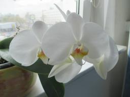 yIMG_3695