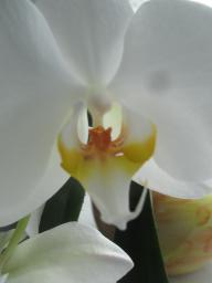 yIMG_3698