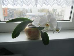 yIMG_3699