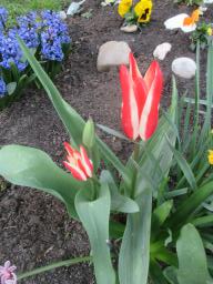 yIMG_3710