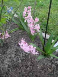 yIMG_3711