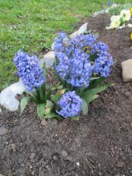 yIMG_3712