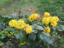 yIMG_3724