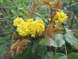 yIMG_3725