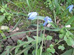 yIMG_3727