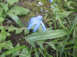 yIMG_3728