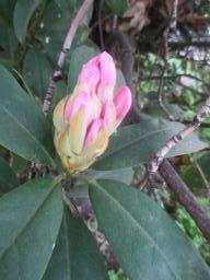 yIMG_3732