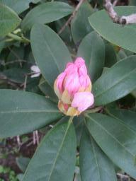 yIMG_3733
