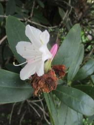 yIMG_3734