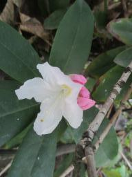 yIMG_3735