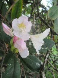yIMG_3736