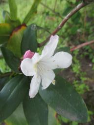 yIMG_3737