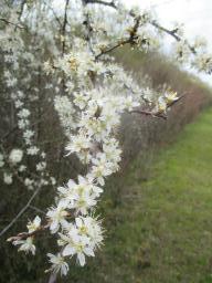 yIMG_3740