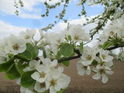 yIMG_3742