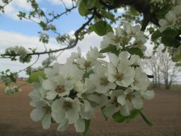 yIMG_3743