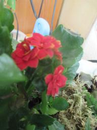 yIMG_3899