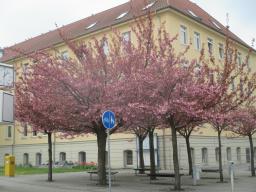 yIMG_3959