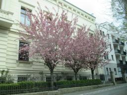 yIMG_4025