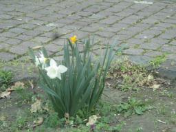 yIMG_4027