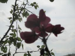 yIMG_4031