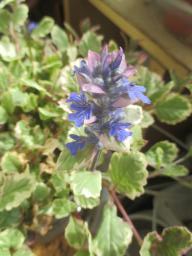 yIMG_4035