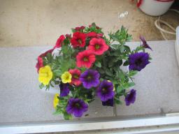 yIMG_4198