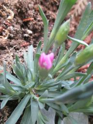 yIMG_4205