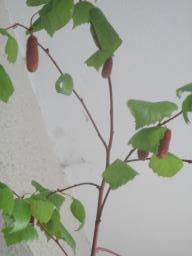 yIMG_4211