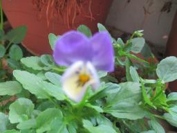 yIMG_4279