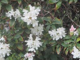 yIMG_4313
