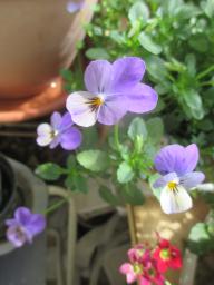 yIMG_4317