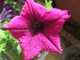 yIMG_4321
