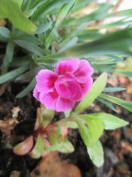 yIMG_4326