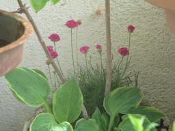 yIMG_4327